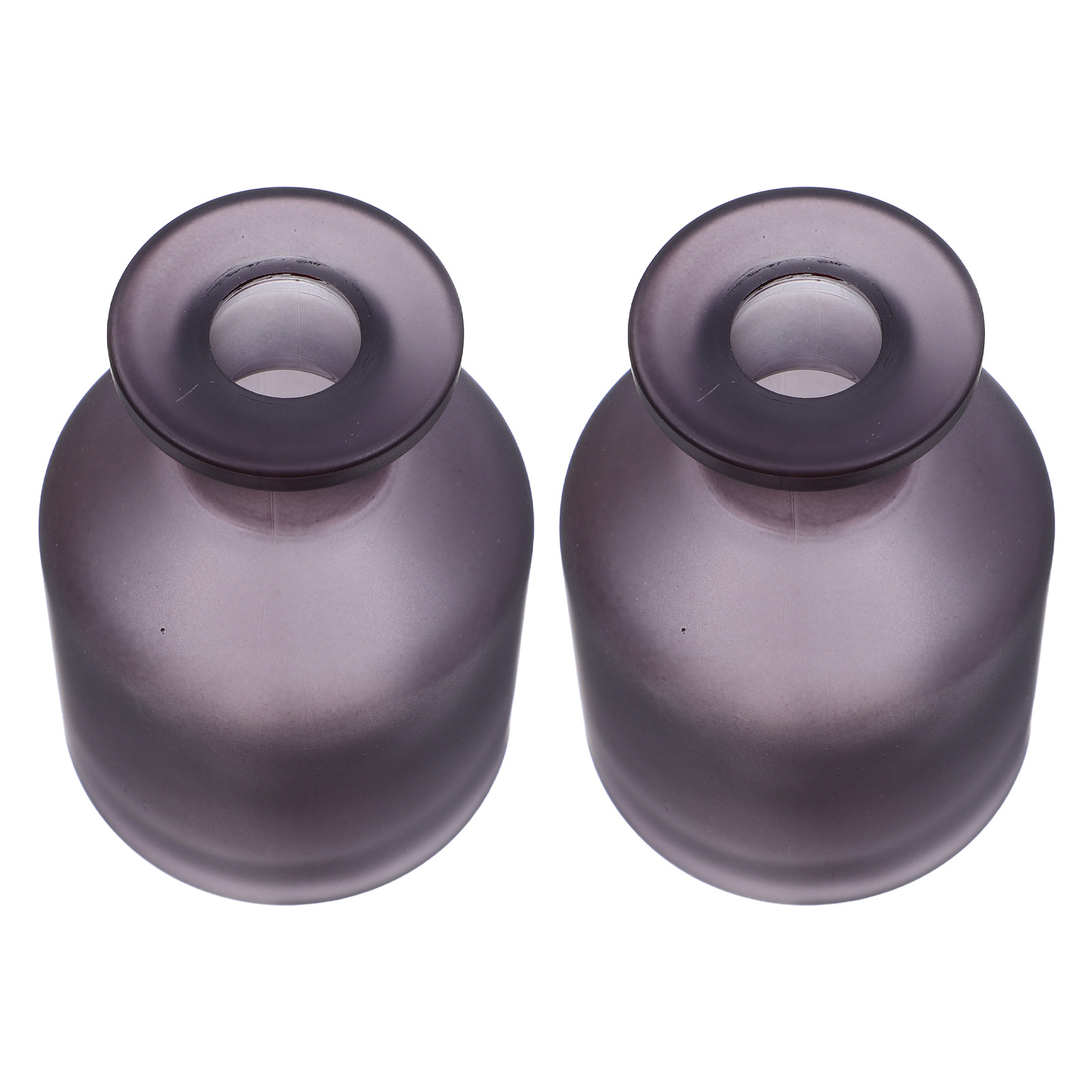 2 Stück Glasdiffusorflaschen,  – Reusable Bottle Bewertung und Preis